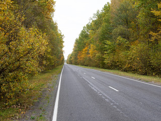 Autumn road. Cloudy landscape.