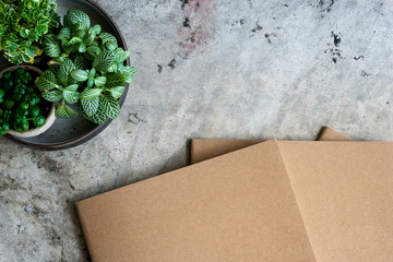Books and potted plants