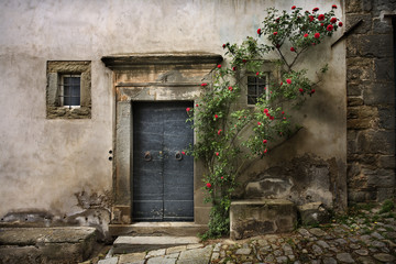Cortona Wall with Door and roses
