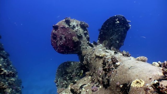 Screw of shipwreck sunken Salem Express deep underwater Red Sea. Secret of sunken ship which crashed on coral reef. Historical place of tragedy.