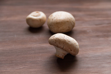 champiñón