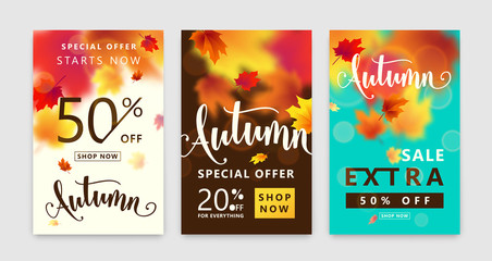 Colorful autumn poster set. Fall sale background with bright maple leaves
