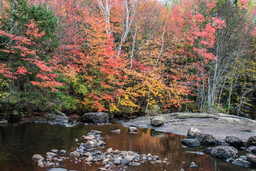 Obraz premium rocky waterfall in autumn