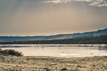 Fototapeta premium humid area in the south-west of Sardinia, Italy