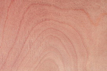 Fototapeta premium texture of natural birch plywood, the surface of the wood has been rubbed with sandpaper and scratched