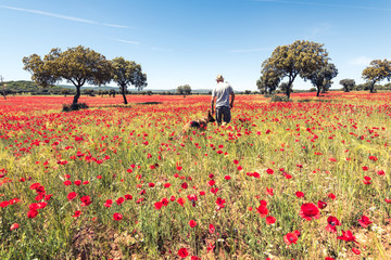 Wanderlust man walking dog in wild meadow