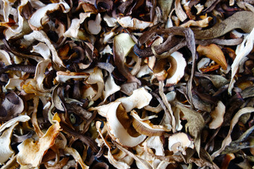 Dried edible mushrooms