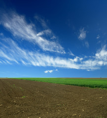 arable land and clouds
