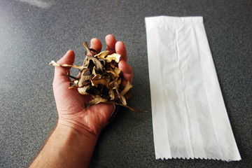 Dried edible mushrooms