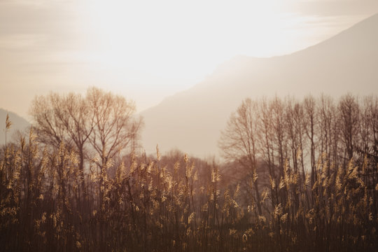 Autumn landscape