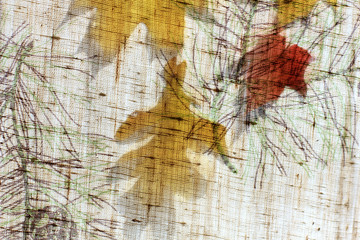 abstraction with autumn leaves behind the curtain of the window