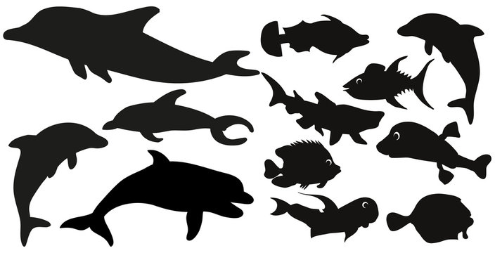  silhouette of fish collection