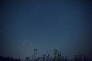  Starry sky with constellation of the Great Bear