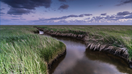 Ein Sommerabend in den Salzwiesen