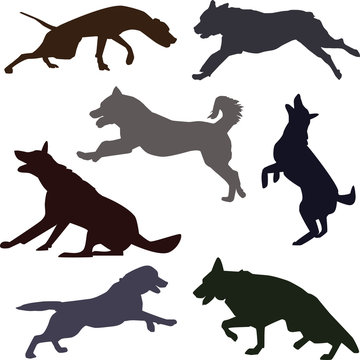 Silhouettes of active dog breeds. Dog sport silhouettes.