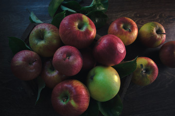 Fresh ripe apples on a wooden background. Autumn still life.