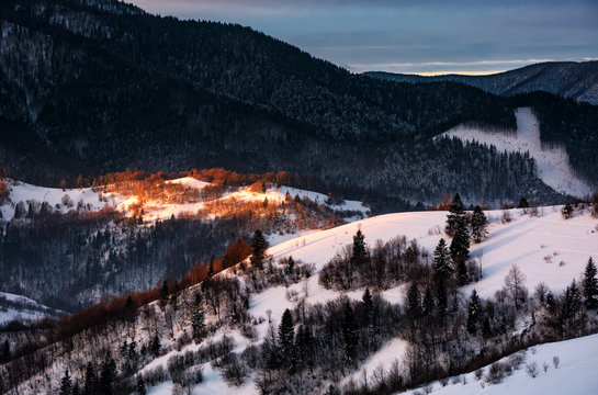 spot of morning light on hillside with forest. beautiful mountainous scenery in winter