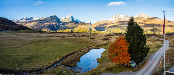 Panorama mit Piz Platta, Alp Flix, Hochmoor im Herbst; Graubünden, Schweiz