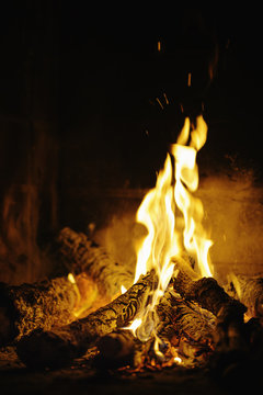 Burning campfire