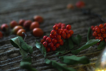 Rowan on a wooden background with a twine.
