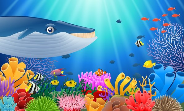 Cartoon whale with Coral Reef Underwater in Ocean. Vector illustration
