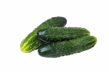 Three сucumber isolated on white background