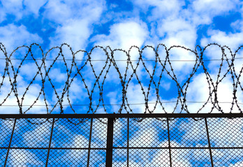 Barbed wire on the sky background