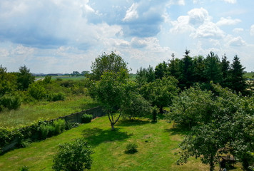 Green nature landscape at sunny day