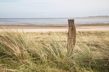 Zaun in Sylter Dünen Landschaft am Wattenmeer