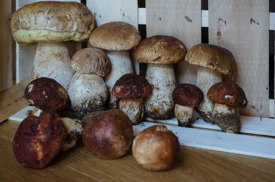 funghi porcini in cassetta di legno