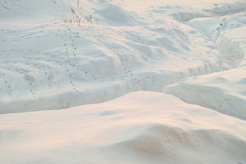 Fototapeta premium Cleared snowy footpath after heavy snowstorm. Traces of wild steppe birds on the snow. Winter background.