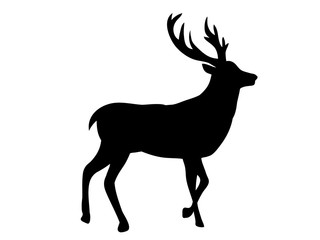 isolated silhouette of a noble deer,
