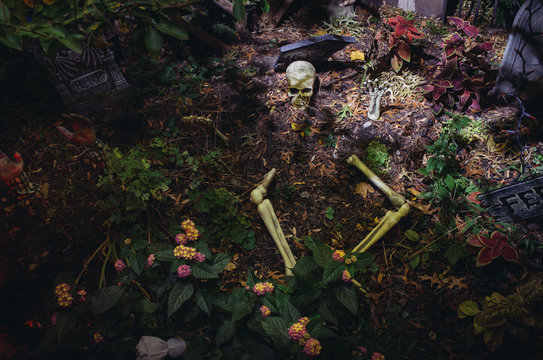 Halloween skeleton in backyard