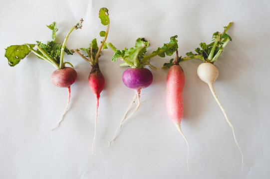 Radish Love