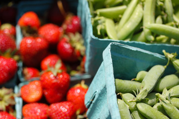 Fresh Picked Organic Produce (Beans and Strawberries) at the Farm