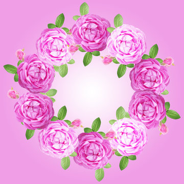 Circle of purple roses on a purple background 