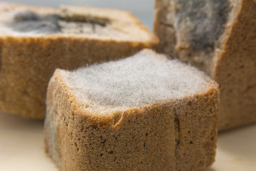 bread