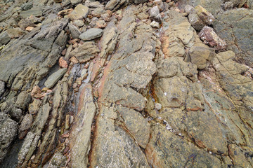 Rock