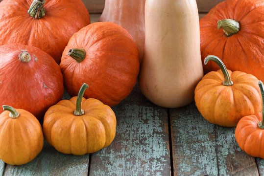 Helloween, Harvest Festival, Thanksgiving. Bright Orange Pumpkins And Butternut Squashes On Robin Egg Blue Background