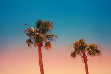 Fotobehang Palmboom Tropische palmbomen tegen de avondrood. Overgangskleur. Silhouet van hoge palmbomen. Tropisch avondlandschap.