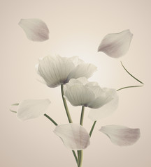 flores con pétalos volando