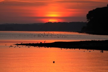 seascape sunrise with sea birds and red sky