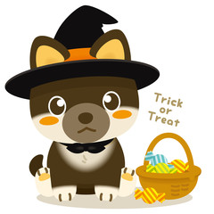 いぬっこ倶楽部　柴犬（黒）のハロウィン魔法使いコスチューム