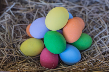 Multi-colored eggs