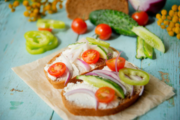 Fototapeta na wymiar Wholesome sandwich with cheese, garden radish -Healthy Eating