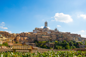 Fototapeta premium Duomo - Siena - Toskana - Italien