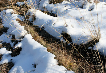 The dried grass and snow near the footpath in the late autumn. 