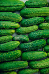 a lot of green dirty cucumber on the supermarket shelf