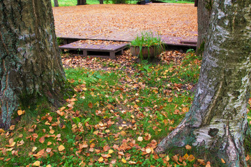 autumnal dance floor