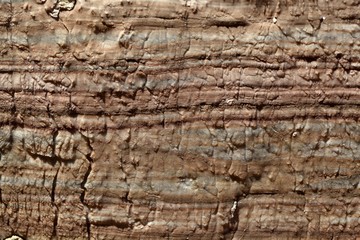 Surface of carbonate rock with weathering structures